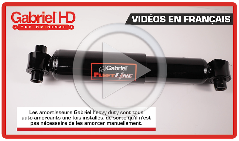 Videos in French / Vidéos en français